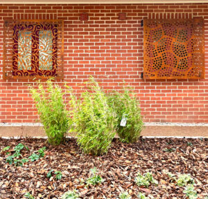 Corten Steel 01 Eclipse