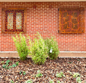 Corten Steel 05 Botanical